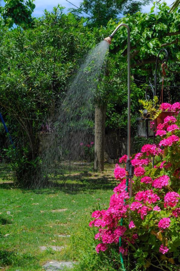 רובייס Heracles Guesthouse מראה חיצוני תמונה